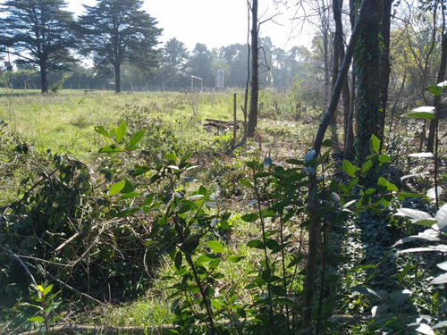 Lote De 7500 Metros Merlo Pontevedra