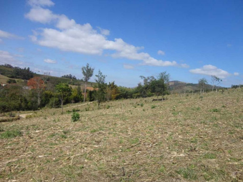 Imagem 4 de 30 de Fazenda De Café Em Monte Sião-mg - 7676