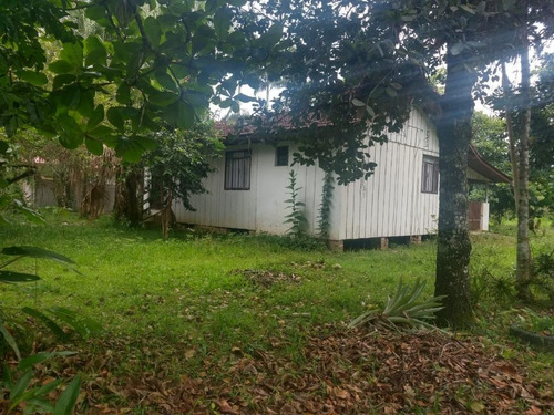 Charmosa Chácara Localizada Na Vila Das Palmeiras - Ch0139