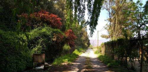 5300 M2 En Parcelacion, Acceso Pavimentado, Agua, Talagante
