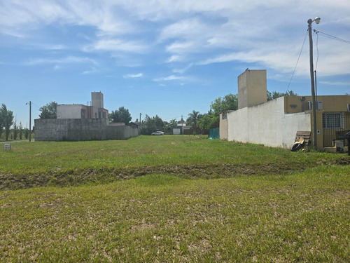 Venta Terreno En Pueblo Esther
