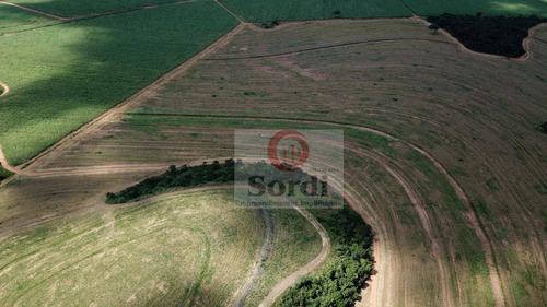 Imagem 5 de 20 de Fazenda À Venda, 4400000 M² Por R$ 22.000.000,00 - Zona Rural - Prata/mg - Fa0109