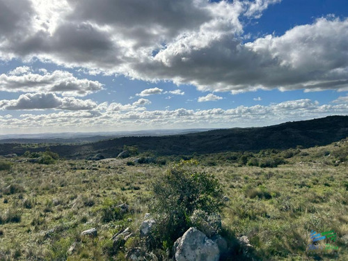 Imagen 17 de 24 de Lindo Campo Para Fraccionar, Sobre Ruta Y A Poco Mas De 1 Hora De Punta