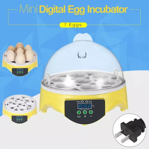 Mini Incubadora Automática Barata Pequena E Barata 7 Ovos
