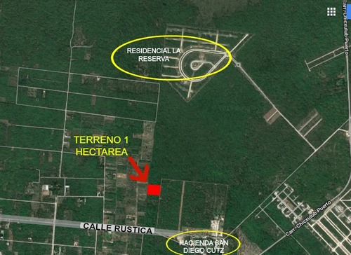 Imagen 2 de 9 de Terreno De 1 Hectárea En Venta En Conkal Merida. Gran Oportunidad!