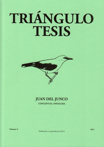 Triangulo Tesis Juan Del Junco, De Del Junco, Juan. Editorial Publicaciones De Diputacion Provincial De Granada, Tapa Blanda En Español