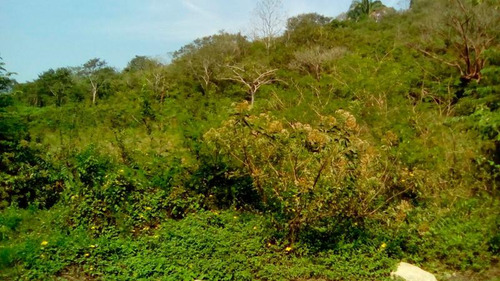 Terreno Venta Poza Rica De Hidalgo Veracruz 2000 M²