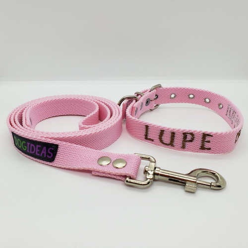 Combo Collar Bordado + Correa De Paseo De 2cm Dogideas