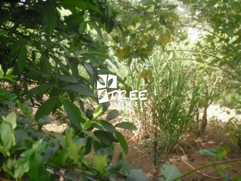 Imagem 24 de 30 de Chácara A Venda Em Arujá Localizado No Bairro Do Parque Jacaranda E 10 Minutos Do Centro. Maravilhosa Chácara Com 2.000 M² De Terreno E Aproximadamente 380 M² De Construção Com Cas - Ch00040 - 2201931