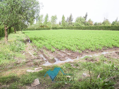 Imagen 8 de 15 de Chicureo Poniente