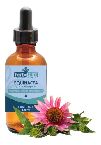 Equinacea - Echinacea Purpurea Extracto 120ml + Gotero