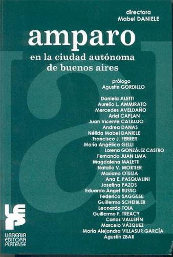 Amparo En La Ciudad Autonoma De Buenos Aires, De Daniele, Mabel. Editorial Platense, Tapa Blanda, Edición 1 En Español