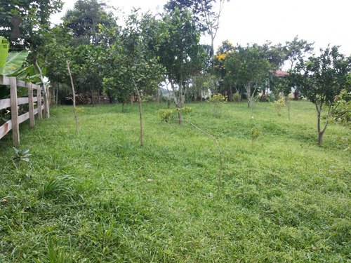 Chácara A Venda No Bairro Centro Em Bocaiúva Do Sul - Pr. - 301-1