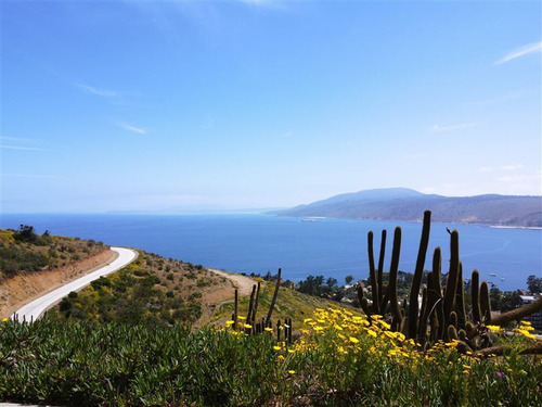 Espectacular Sitio En Condominio Mirador Punta Pite