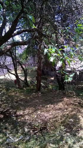 Terreno En San Andrés Totoltepec, Tlalpan