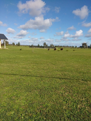 Imagen 2 de 3 de Lote En Chacras De Abbott