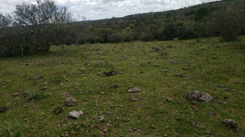 Vendo Campo