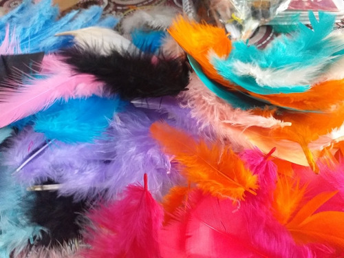 Plumas De Colores Surtidas De 10 Cn