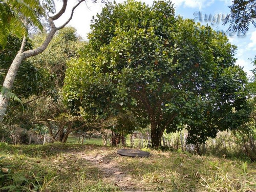 Chácaras À Venda Em Atibaia/sp - Compre O Seu Chácaras Aqui! - 1471901