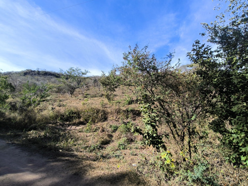 Terreno 9 Hectáreas, Con Agua Todo El Año 