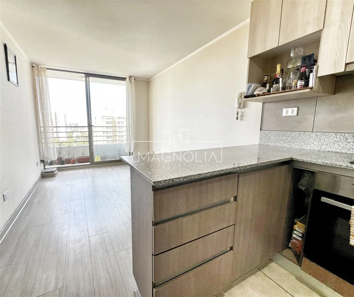 Imagen 3 de 17 de Departamento En Venta De 1 Dorm. En San Miguel