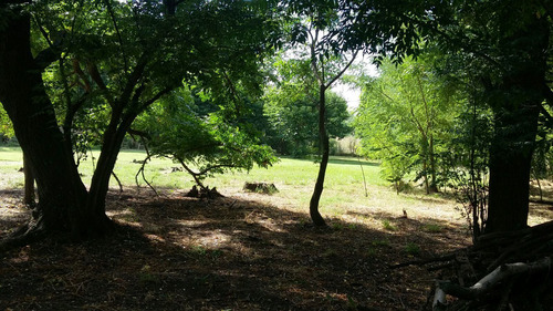 Imagen 7 de 14 de Hectarea En Venta