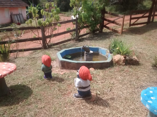 Chácara No Bairro Nogueira Em Aiuruoca Mg, Perto De Alagoa , Lugar De Lindas Cachoeiras, Casa Com 03 Quartos, Terreno Com 2.000 M2. - 330