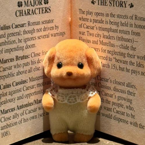 Muñeca Con Extremidades Móviles,muñeca Caniche De Sylvanians