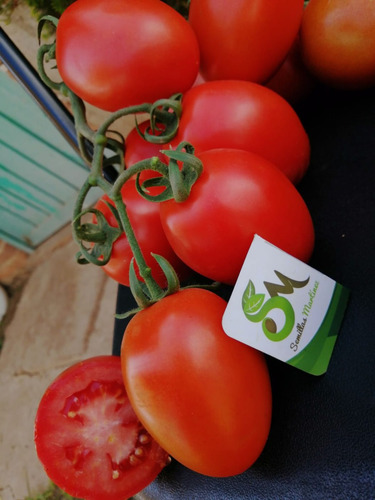 Semillas Martínez / Tomate Indeterminado / Sicilia / 1m