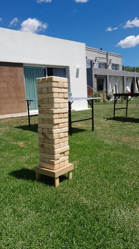 Imagen 5 de 5 de Alquiler De Metegol, Tejo De Aire, Ping Pong, Pool, Jenga