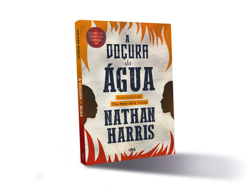 A doçura da água, de Harris, Nathan. Editorial Novo Século Editora e Distribuidora Ltda., capa mole em português, 2022