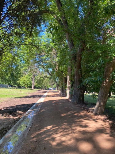 Imagen 5 de 10 de Terreno En Venta En Tortuguitas
