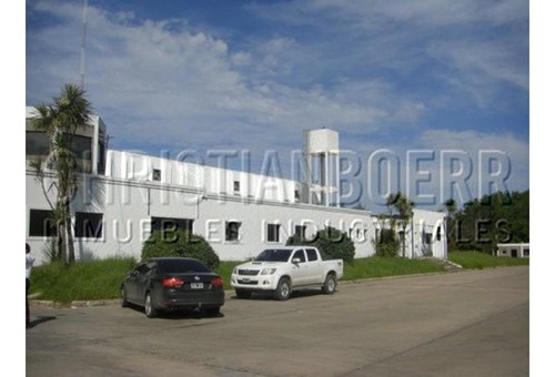 Imagen 7 de 10 de Pilar - R25 - Centro De Distribucion De 10.000m Cub Con Muy