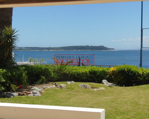 Imagen 2 de 3 de Apartamento 3 Dormitorios Con Dependencia Puerto Punta Del Este