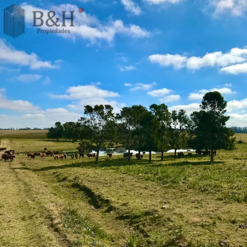 Chacra En Venta De 5 Hectáreas - Camino Medellin