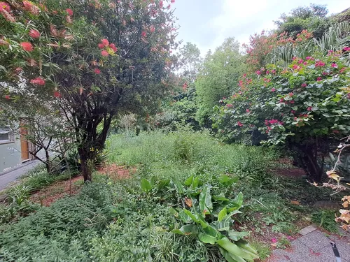 Servicios De Jardinería Y Paisajismo