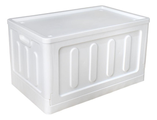 Organizador Prático Design Dobrável Premium Tampa 75l Branco