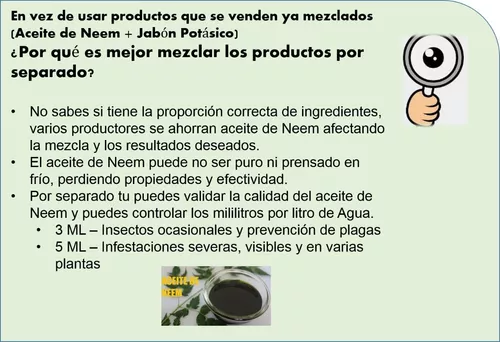 1L DE JABON POTASICO Y 240 Ml DE ACEITE DE NEEM : : Belleza