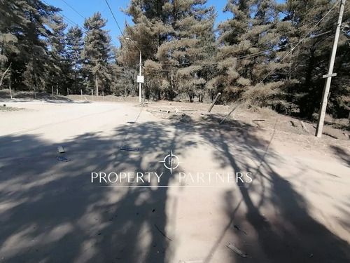 Terreno En Los Pinos