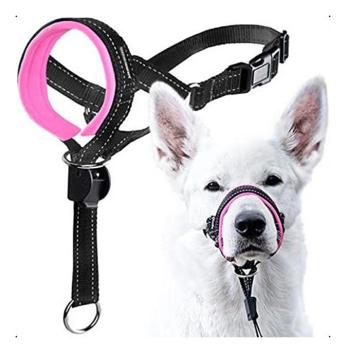 Collar Para Perros Con Correa De Seguridad.