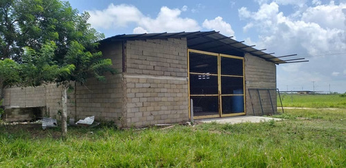 Imagen 6 de 13 de Finca En Venta El Tejero