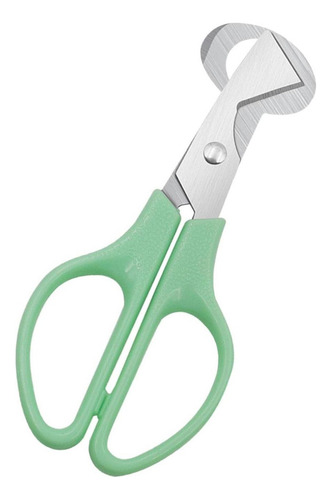 Aaa Casca De Ovo De Codorna De Aço Inoxidável,