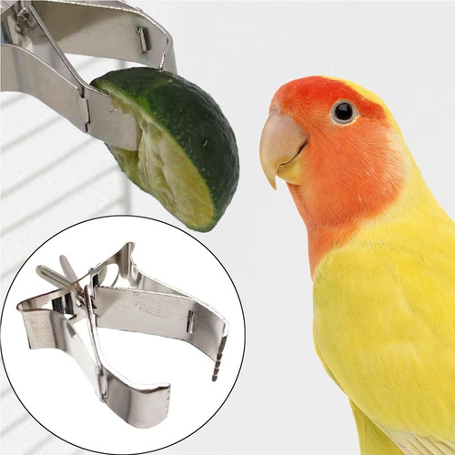 Clip Para Loros, Frutas Y Verduras, Jaula Para Pájaros,