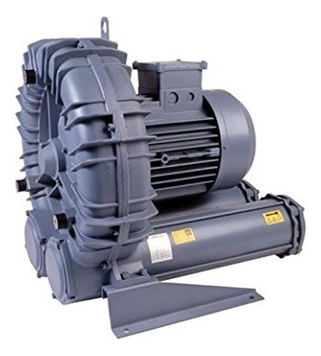 Fpz Scl K04 Regenerativa Blowers, 98 Cfm (2,775 L / Min), 20