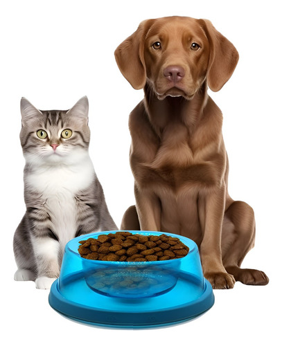 Platos Para Gatos Dispensador De Comida Perros Bebedero Gato