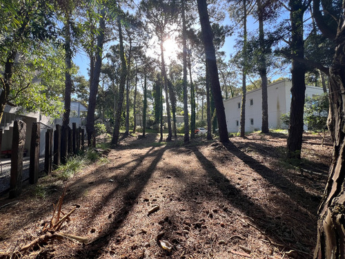 Lote Residencial Con Salida Al Golf En Carilo