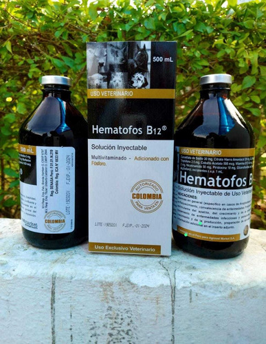 Imagen 2 de 2 de Hematofos X 500 Ml Envío Gratis