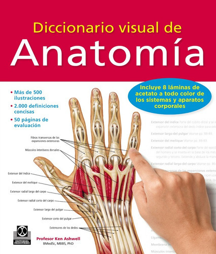 Ashwell Diccionario Visual De Anatomía ¡envío Gratis!, De Ashwell. Ken. Editorial Paidotribo En Español