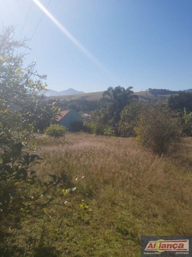 Imagem 2 de 15 de Terreno À Venda, 3000 M² - Centro - Itapeva/mg - Ai17864
