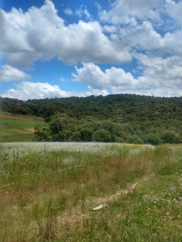 Imagem 1 de 5 de Ag7- Compre Seu Lote Em Cotia 15 Mil De Entrada E O Restante Em Ate 60x